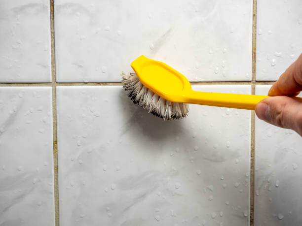 Best Mold Cleaning Services  in Littlefield, TX