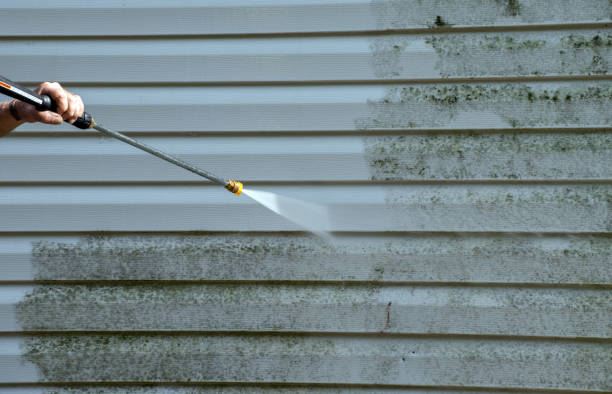 Best Mold Cleaning Services  in Littlefield, TX