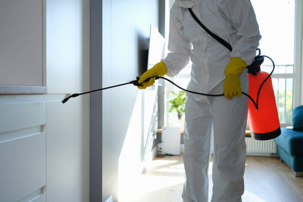 Best Mold Testing  in Littlefield, TX